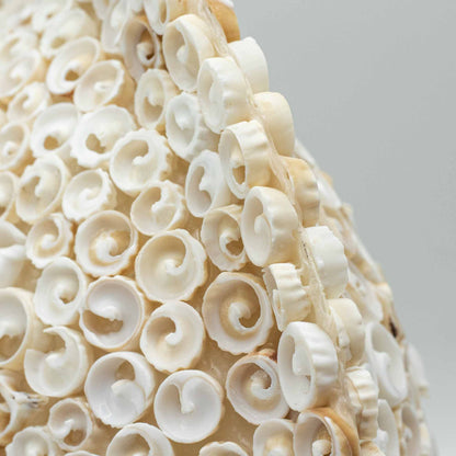 Boho Seashell Table Lamp – Cut Art Shell Large Round