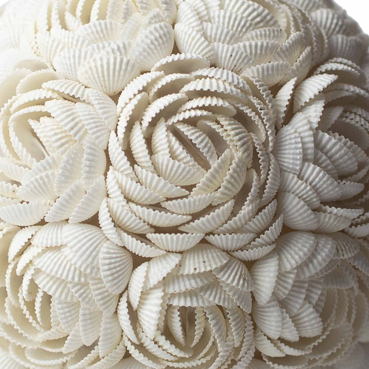 Boho Seashell Table Lamp – Rose Oval