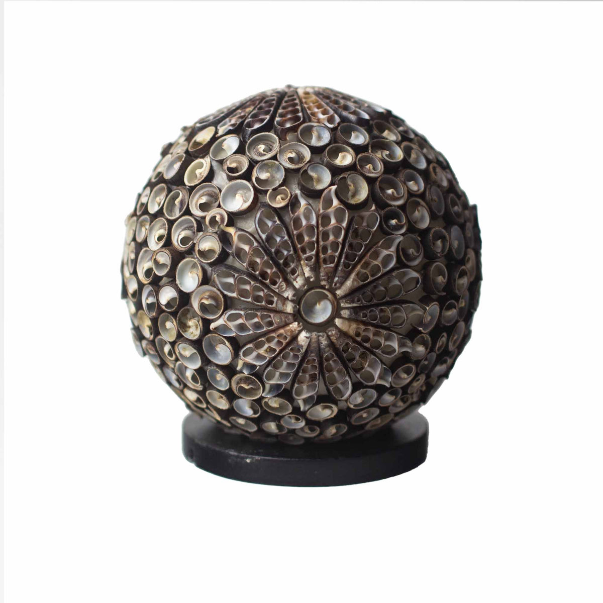 Boho Seashell Table Lamp – Chocolate Twist Globe