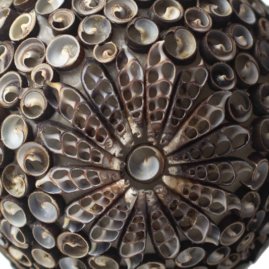 Boho Seashell Table Lamp – Chocolate Twist Globe