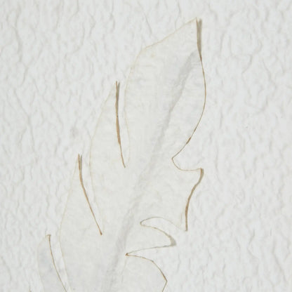 Solli White Feathers Art Mounted In Beaded Frame